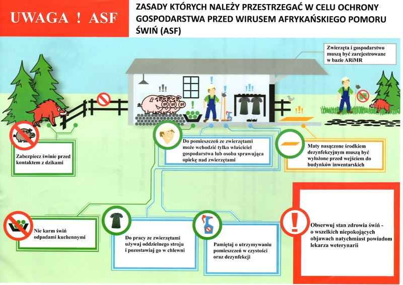 plakat przedstawiający sposób ochrony przed wirusem ASF