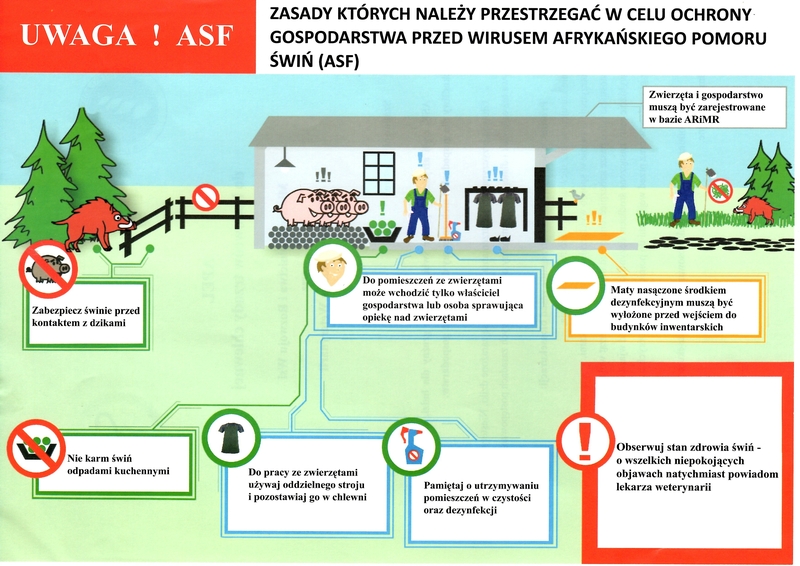 plakat przedstawiający sposób ochrony przed wirusem ASF