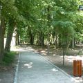 Park w Lisowicach po rewaloryzacji