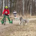 Międzynarodowe wyścigi psich zaprzęgów Rybakówka Cup