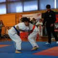 Samurai KyodoKyokushin Cup w Andrespolu