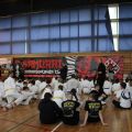 Samurai KyodoKyokushin Cup w Andrespolu