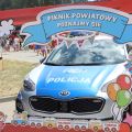 Piknik powiatowy w Wiśniowej Górze