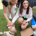Piknik z Województwem Łódzkim w Gminie Koluszki
